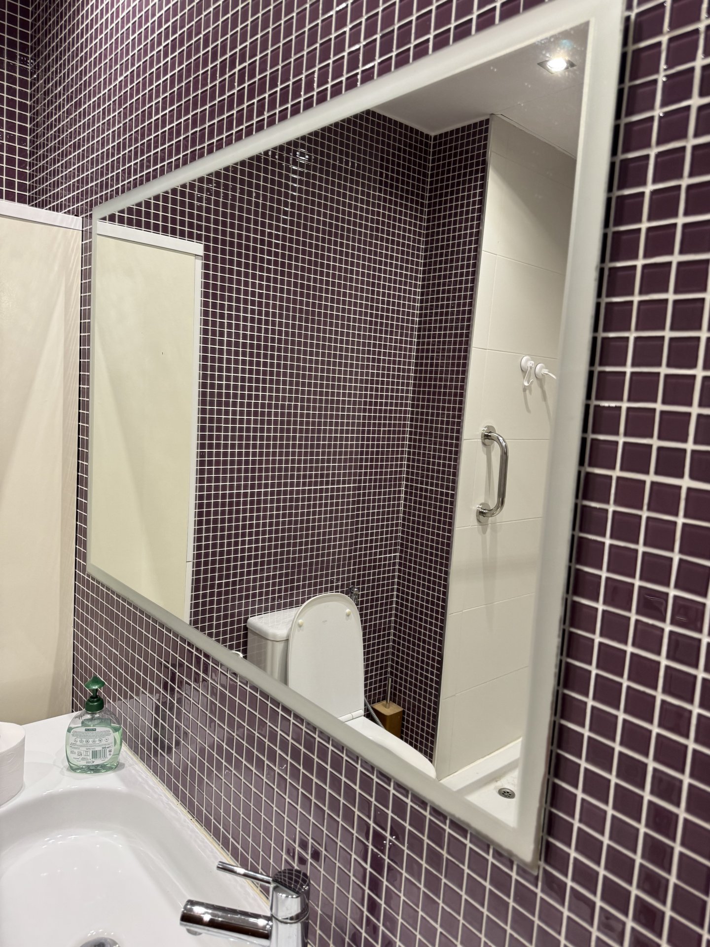 The second bathroom, with shower